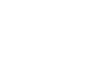 logo ariel